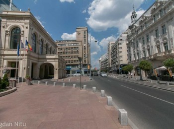 for rent 1 bedroom apartment #9313 - BLISS Imobiliare