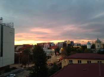 for rent 1 bedroom apartment #23415 - BLISS Imobiliare
