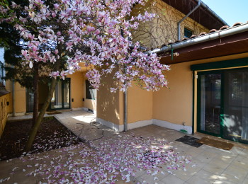 de inchiriat vila 6 camere #36728 - BLISS Imobiliare