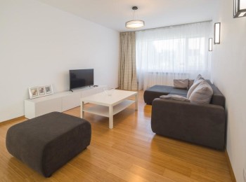 for rent 1 bedroom apartment #36857 - BLISS Imobiliare