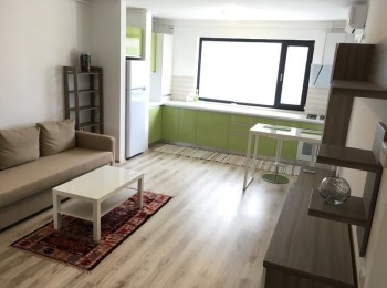 for rent 1 bedroom apartment #40344 - BLISS Imobiliare