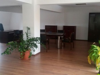 for rent 6 bedroom villa #41409 - BLISS Imobiliare