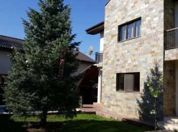 de inchiriat vila 5 camere #47091 - BLISS Imobiliare