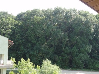 de vanzare apartament 2 camere #6189 - BLISS Imobiliare