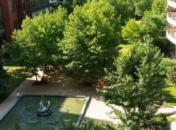 for rent 3 bedroom apartment #49873 - BLISS Imobiliare