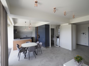 for rent 3 bedroom duplex apartment #45261 - BLISS Imobiliare