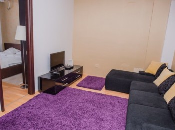 for rent 1 bedroom apartment #65142 - BLISS Imobiliare