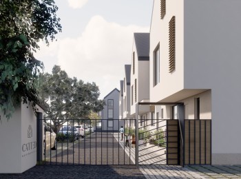 CATTED Dumitru Chivu #794 - BLISS Imobiliare