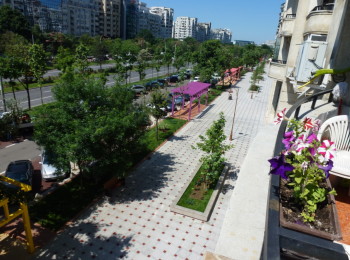 for rent 1 bedroom apartment #39454 - BLISS Imobiliare