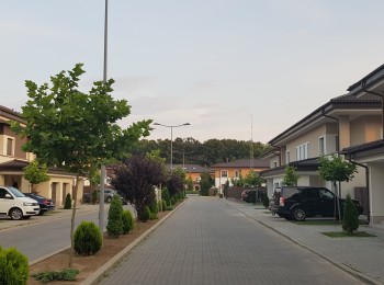 for rent 7 bedroom villa #73144 - BLISS Imobiliare