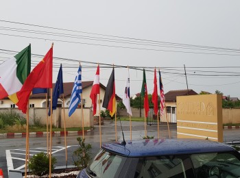 CATTED Residences #231 - BLISS Imobiliare