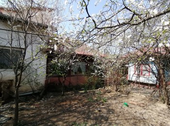  casa 5 camere #83852 - BLISS Imobiliare