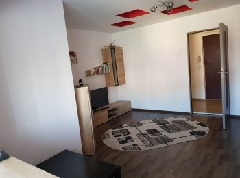 for rent 1 bedroom apartment #86256 - BLISS Imobiliare