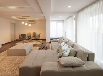 for rent 2 bedroom penthouse apartment #86944 - BLISS Imobiliare