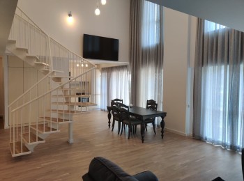 for rent 2 bedroom duplex apartment #88019 - BLISS Imobiliare