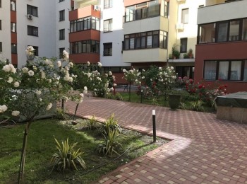 for rent 1 bedroom apartment #88596 - BLISS Imobiliare
