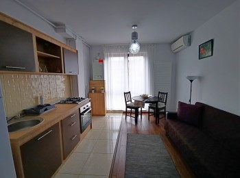 for rent 1 bedroom apartment #48784 - BLISS Imobiliare