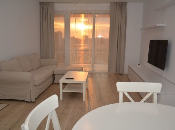 for rent 1 bedroom apartment #93233 - BLISS Imobiliare