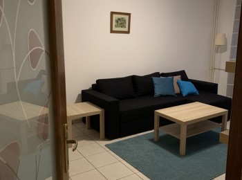 for rent 1 bedroom apartment #95442 - BLISS Imobiliare