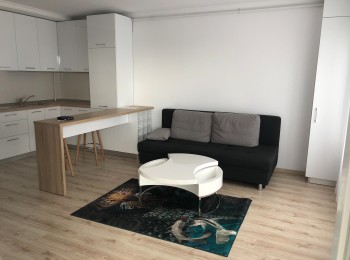 for rent 1 bedroom apartment #89417 - BLISS Imobiliare