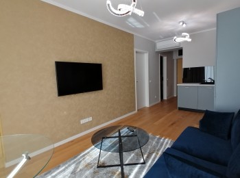 for rent 1 bedroom apartment #98510 - BLISS Imobiliare