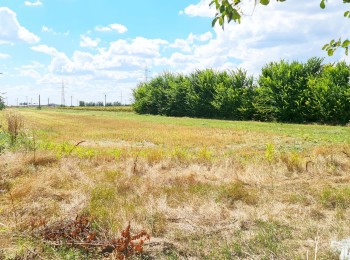 de vanzare Teren 10.000 m² #903235 - BLISS Imobiliare