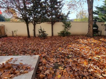 de inchiriat vila 7 camere #46786 - BLISS Imobiliare