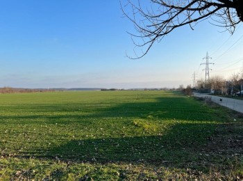 for sale Land 17,000 m² #903999 - BLISS Imobiliare