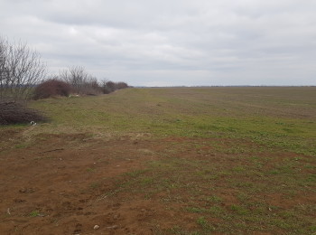 for sale Land 18,680 m² #904339 - BLISS Imobiliare