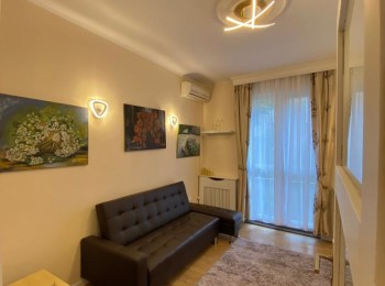 for rent 1 bedroom apartment #89276 - BLISS Imobiliare