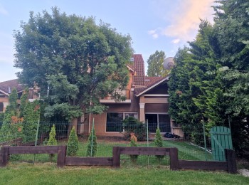 for rent 5 bedroom villa #45335 - BLISS Imobiliare