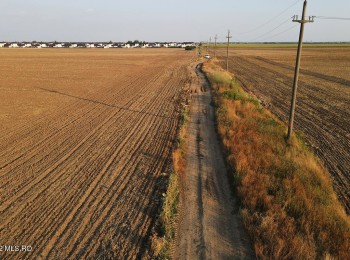 for sale Land 27,840 m² #904874 - BLISS Imobiliare