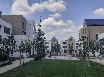 Catted Family #1454 - BLISS Imobiliare