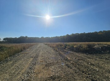 de vanzare Teren 2.000 m&sup2; #906230 - BLISS Imobiliare