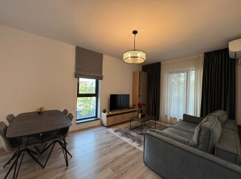 for rent 1 bedroom apartment #143036 - BLISS Imobiliare
