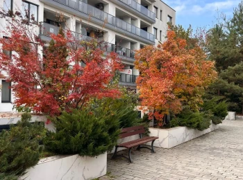 de inchiriat garsoniera #144146 - BLISS Imobiliare