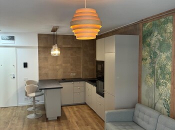 for rent 1 bedroom apartment #143498 - BLISS Imobiliare