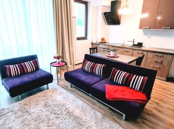 for rent 1 bedroom apartment #105068 - BLISS Imobiliare