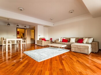 for rent 1 bedroom apartment #28332 - BLISS Imobiliare
