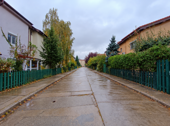 for sale 4 bedroom house #144658 - BLISS Imobiliare