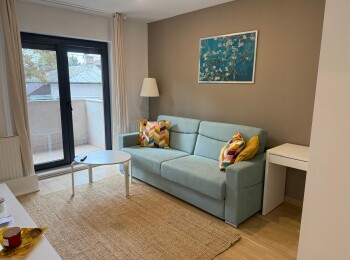 for rent 1 bedroom apartment #66666 - BLISS Imobiliare