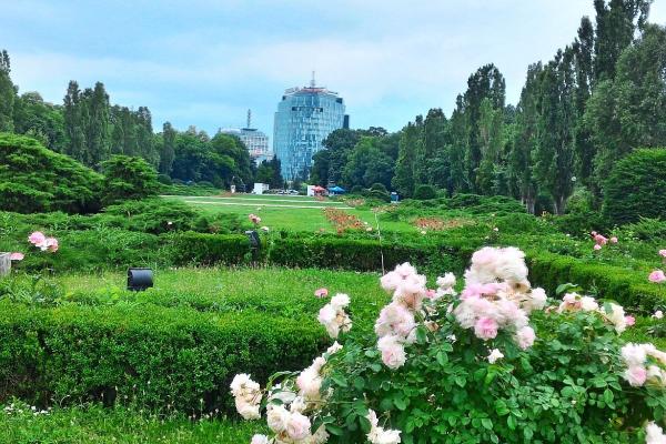 De închiriat Familie de expati caută o locuinta mobilată cu 3 dormitoare